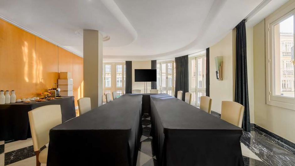 Hotel Larios Meeting