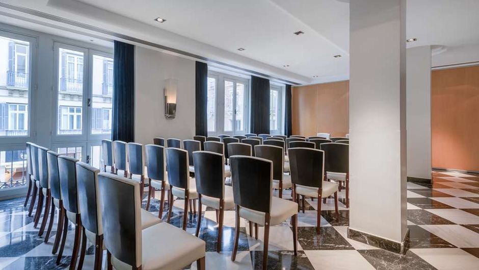 Hotel Larios Meeting