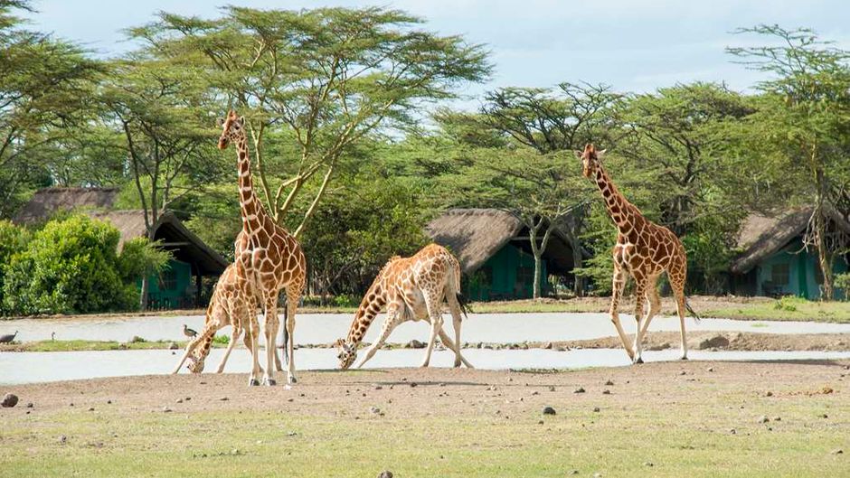 Sweetwaters Tented Camp Recreation