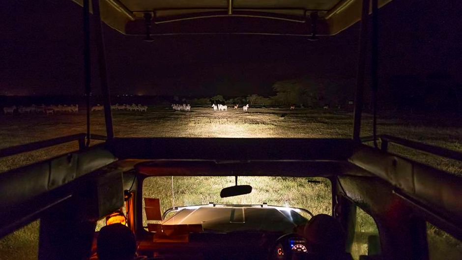 Sweetwaters Tented Camp Recreation