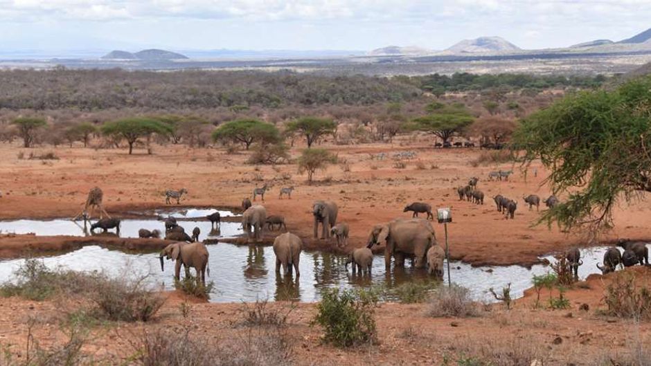 Kilaguni Serena Safari Lodge Recreation