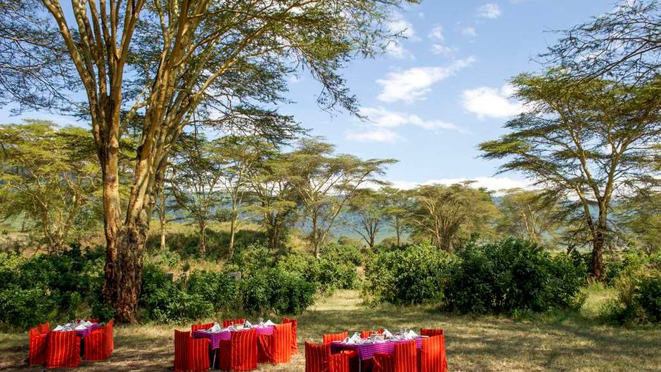 Ngorongoro Serena Safari Lodge Restaurant