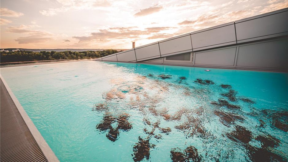 Kameha Grand Bonn Pool