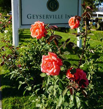 Geyserville Inn