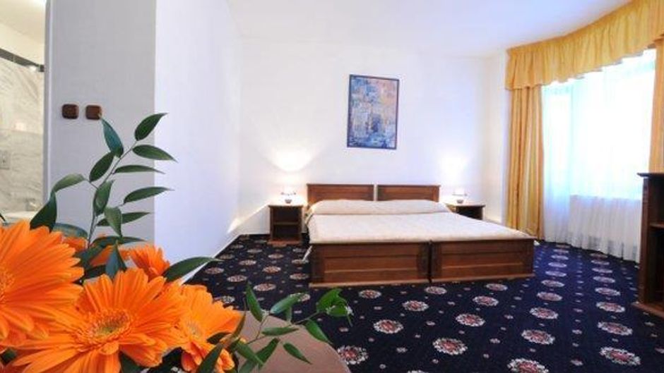 Hotel Brioni Room