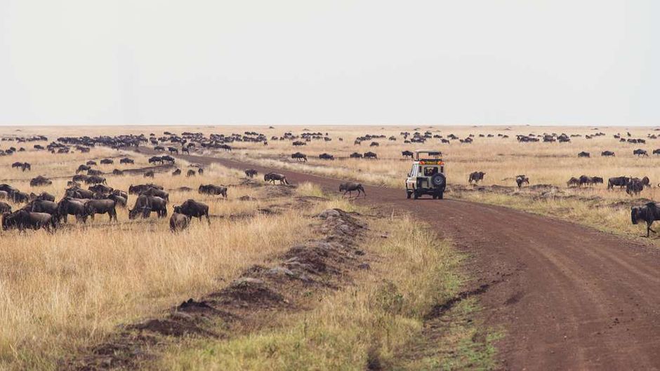 Mara Serena Safari Lodge Recreation