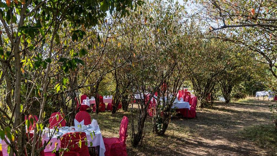 Mara Serena Safari Lodge Restaurant