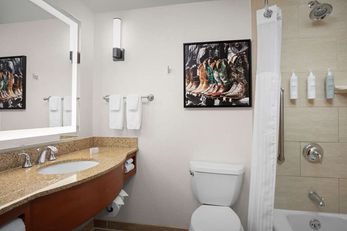 Hilton Garden Inn Fort Worth Medical Ctr