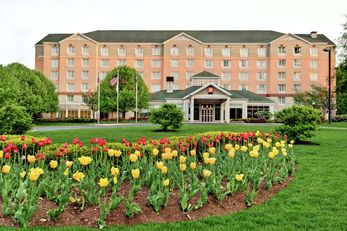 Hilton Garden Inn Albany Airport
