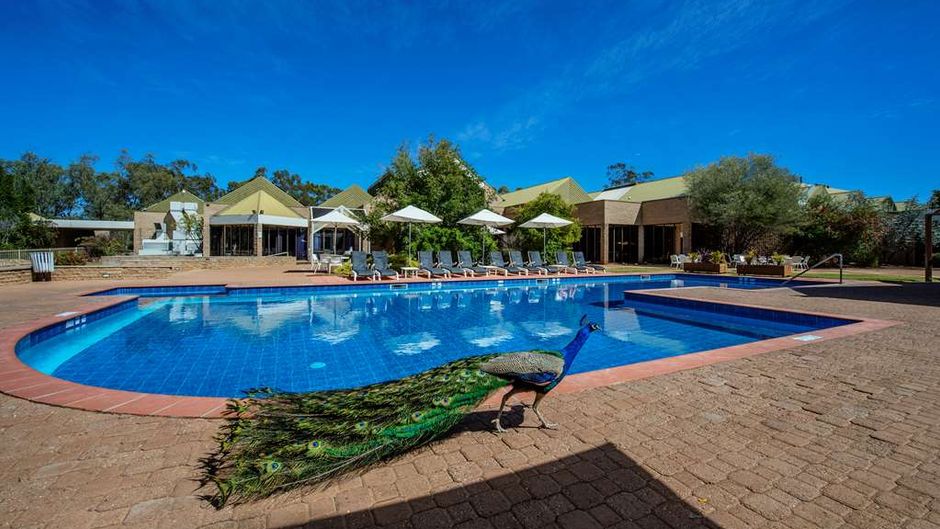 DoubleTree by Hilton Hotel Alice Springs Pool