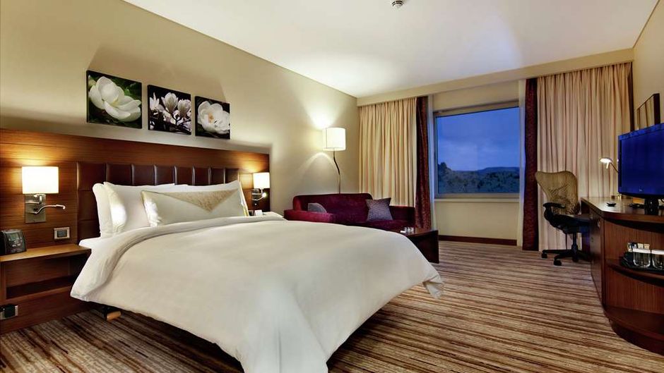 Hilton Garden Inn Mardin Room