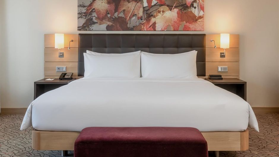 Hilton Mainz Room