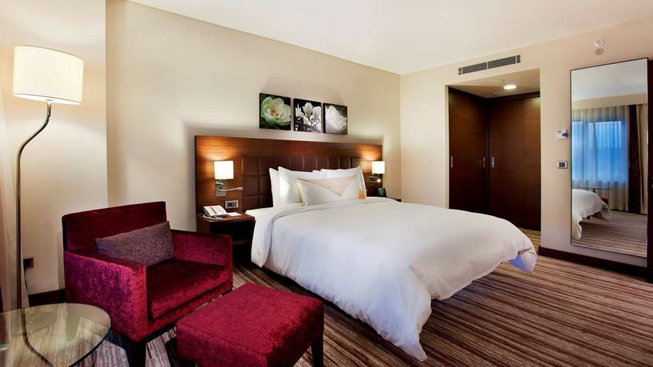 Hilton Garden Inn Sanliurfa Room