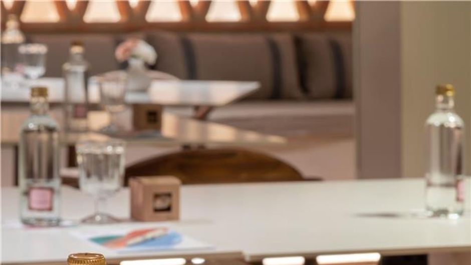 Melia Granada Meeting