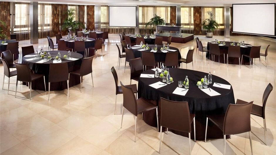 Melia Madrid Princesa Meeting