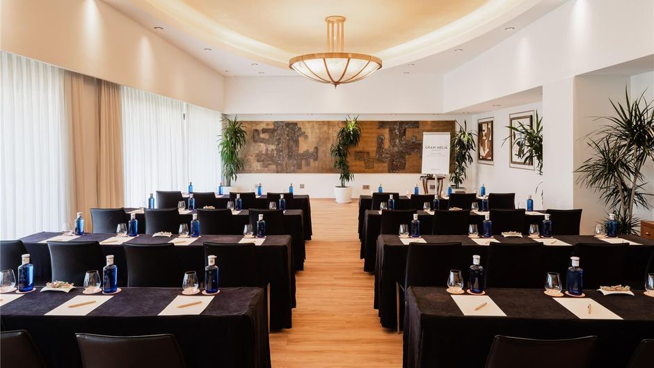 Gran Melia Don Pepe Meeting