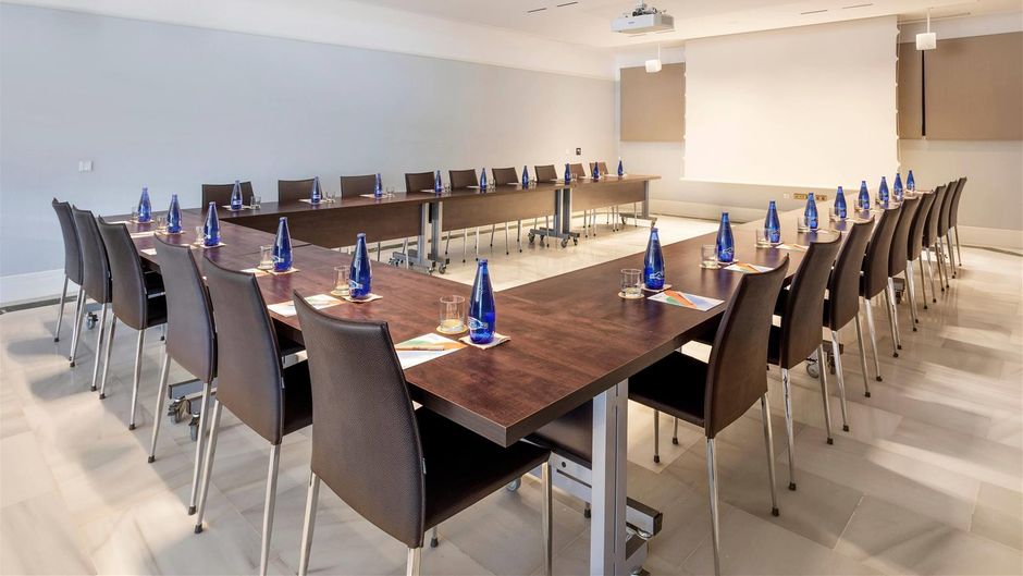 Melia Costa Del Sol Meeting