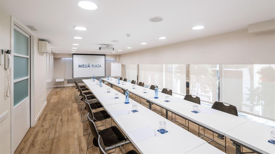 Melia Plaza Meeting