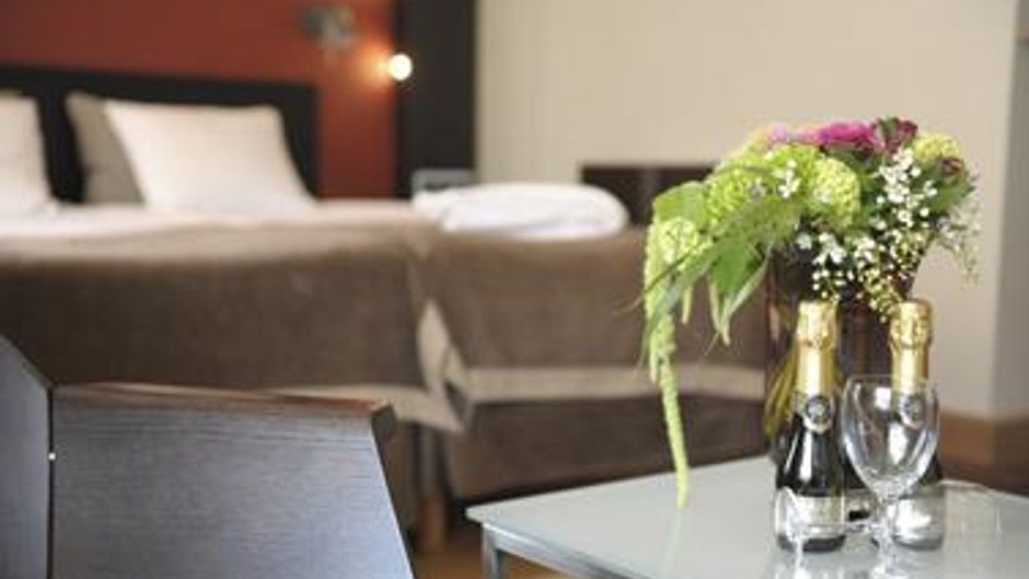 Hotel Lundia Room