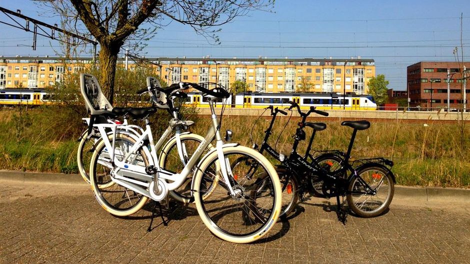 Best Western Zaan Inn Recreation