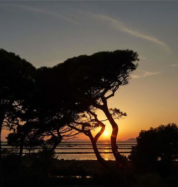 Ibis Budget Hyeres Centre Ville