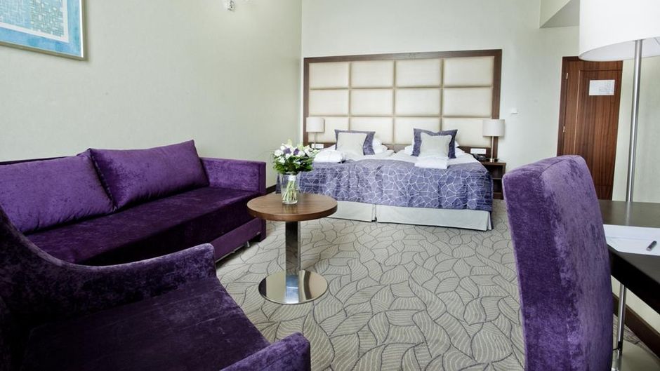 Hotel King David Prague Room