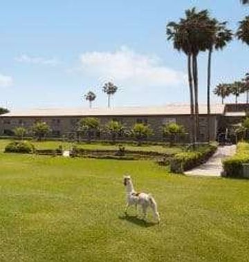 Wyndham Costa del Sol Trujillo