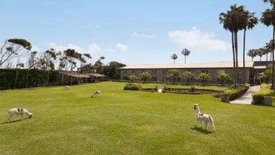 Wyndham Costa del Sol Trujillo