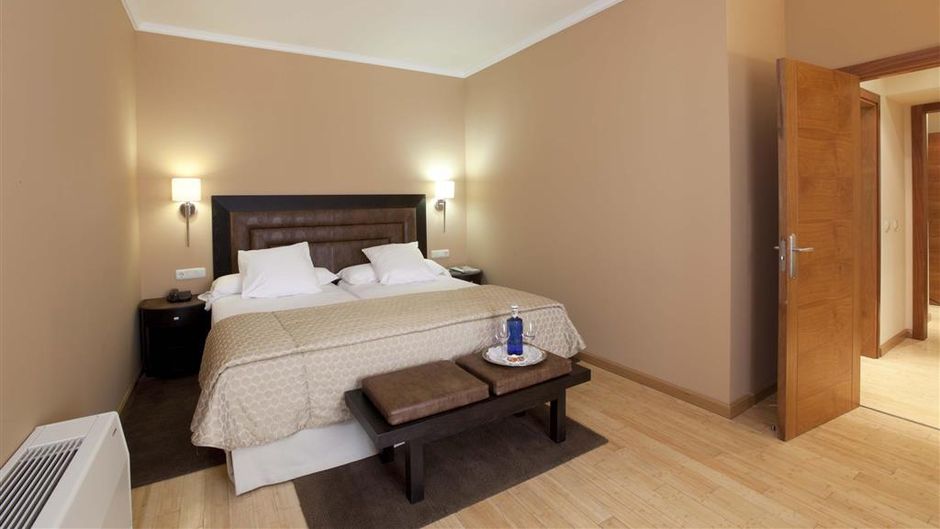 Hotel Hospes Palacio de Arenales Room