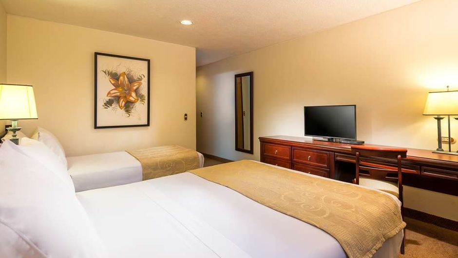 Hotel Dann Avenida 19 Other