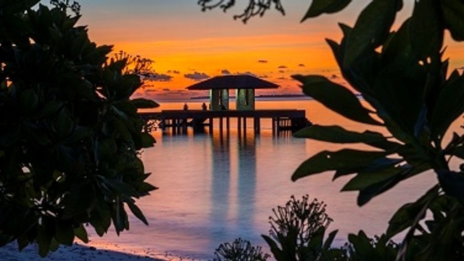 The Barefoot Eco Hotel Other