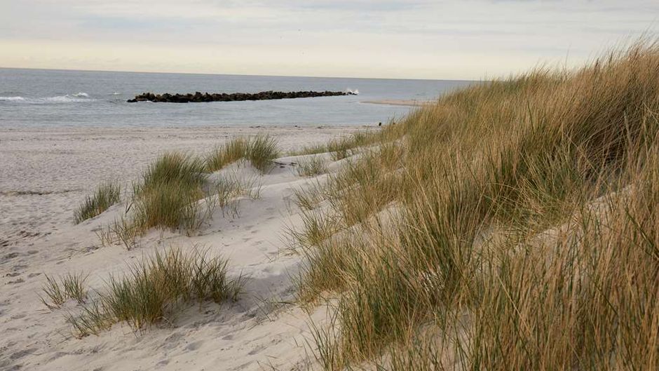 Dorint Wustrow Strandresort Beach