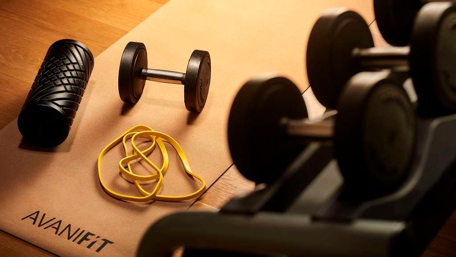 Avani Palazzo Moscova Milano Hotel Health