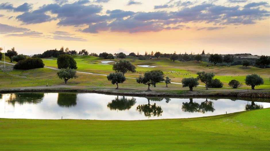 Barcelo Montecastillo Golf Golf