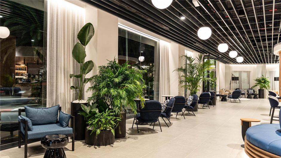 Occidental Santa Cruz Contemporaneo Restaurant