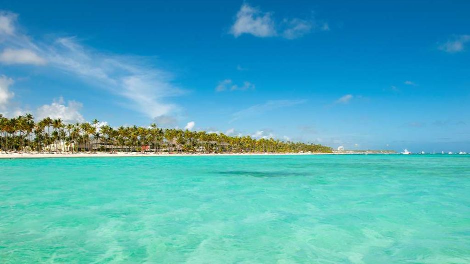Barcelo Bavaro Beach (adults only) Beach