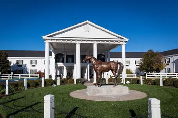 Campbell House Lexington, Curio Coll