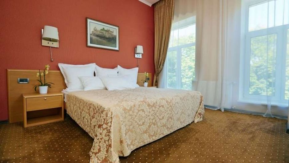 Alexandrovskiy Hotel Room
