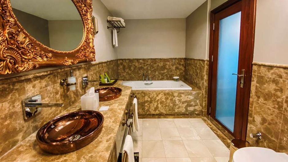 DoubleTree by Hilton Hotel Van Room