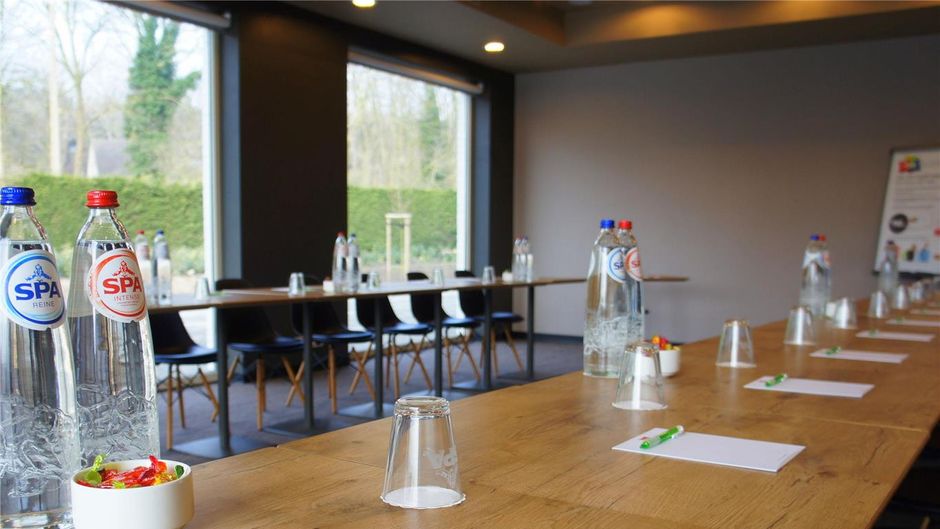 Ibis De Haan Meeting