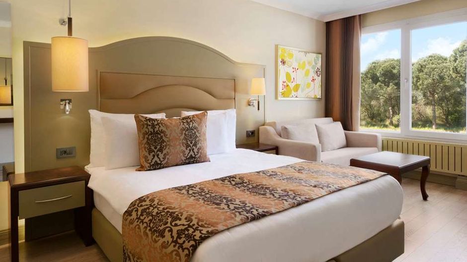 Ramada Resort Kazdaglari Thermal & Spa Room