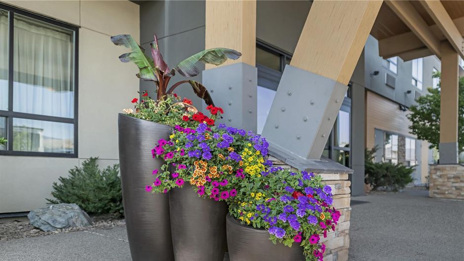 Best Western Plus Merritt Hotel Other