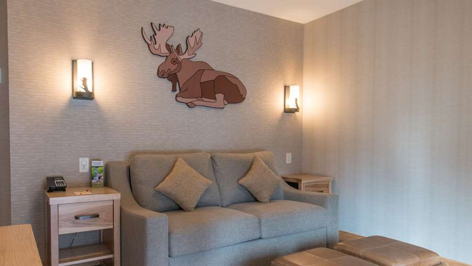 Moose Hotel & Suites Room