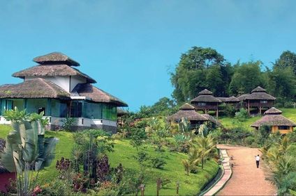 Arasha Resort and Spa