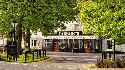 The Bull