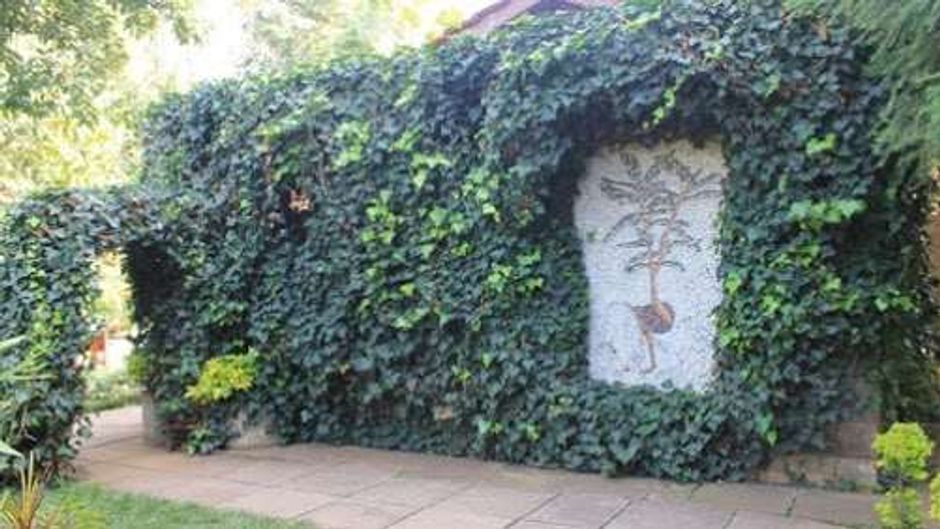Hotel La Mada Exterior