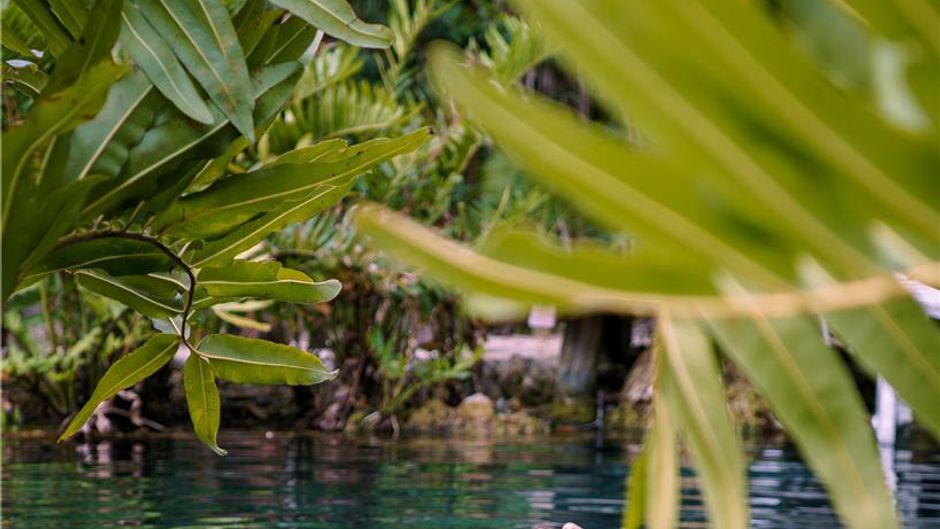 Alila Mayakoba Recreation
