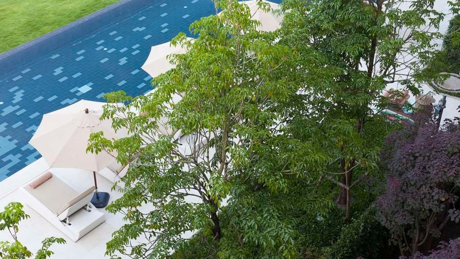 U Khao Yai Pool