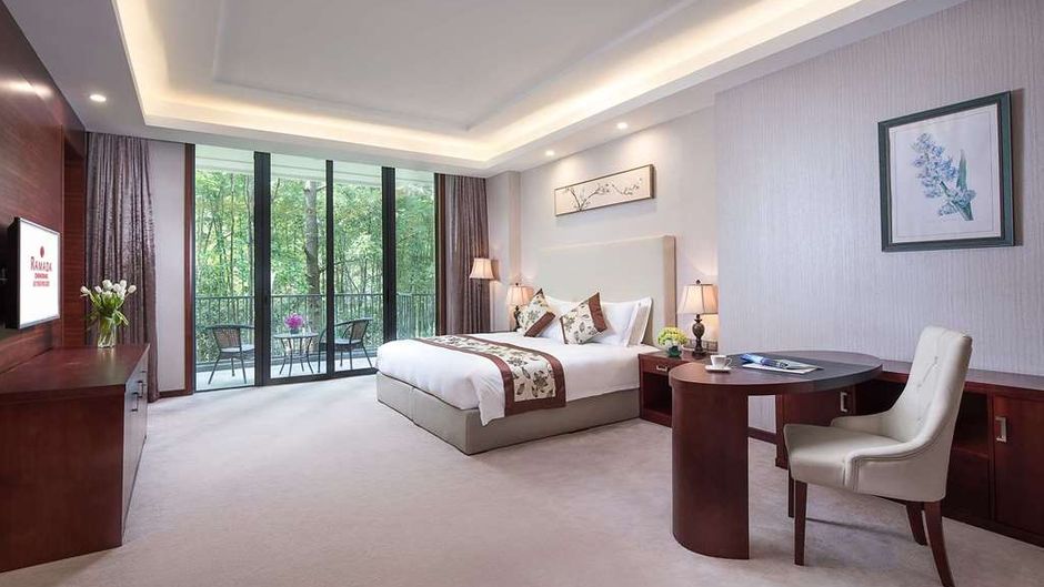 Ramada by Wyndham Xianning Chongyang Room