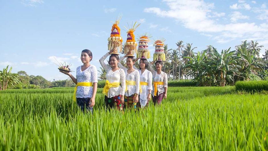 Wyndham Tamansari Jivva Resort, Bali Other